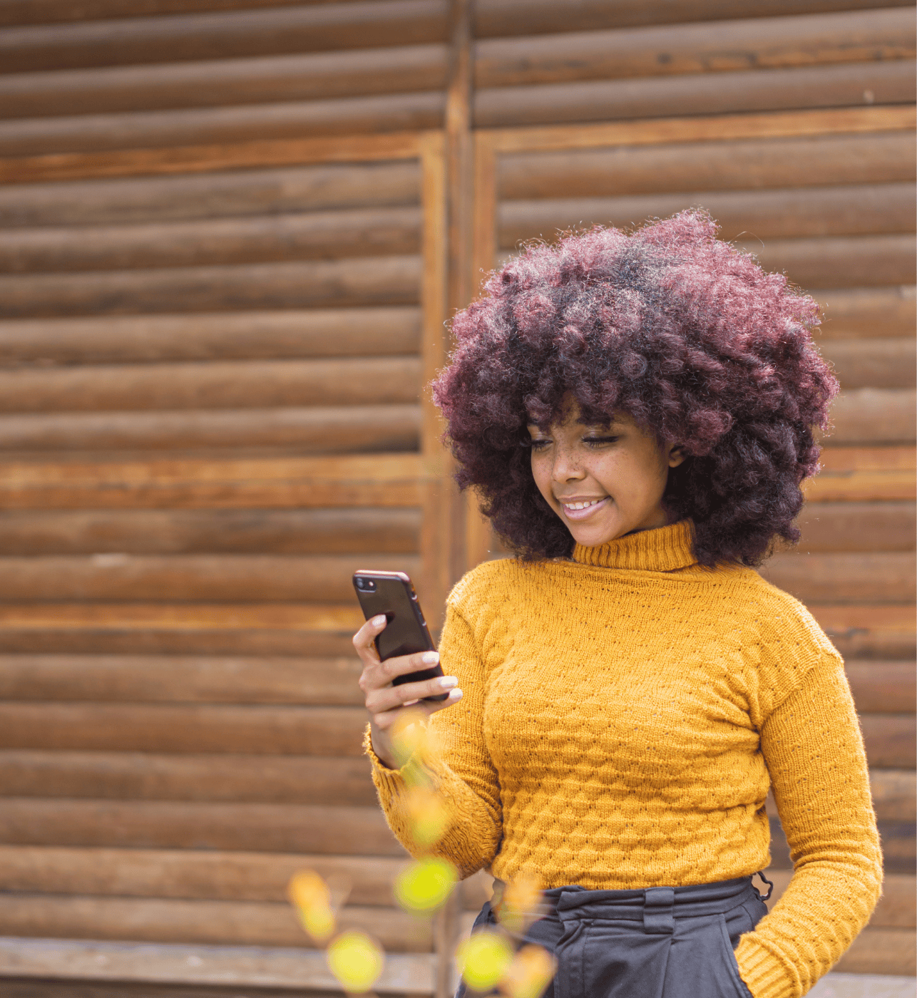 AntiVirus Plus Image